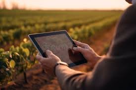 Krusived Farms Image 4